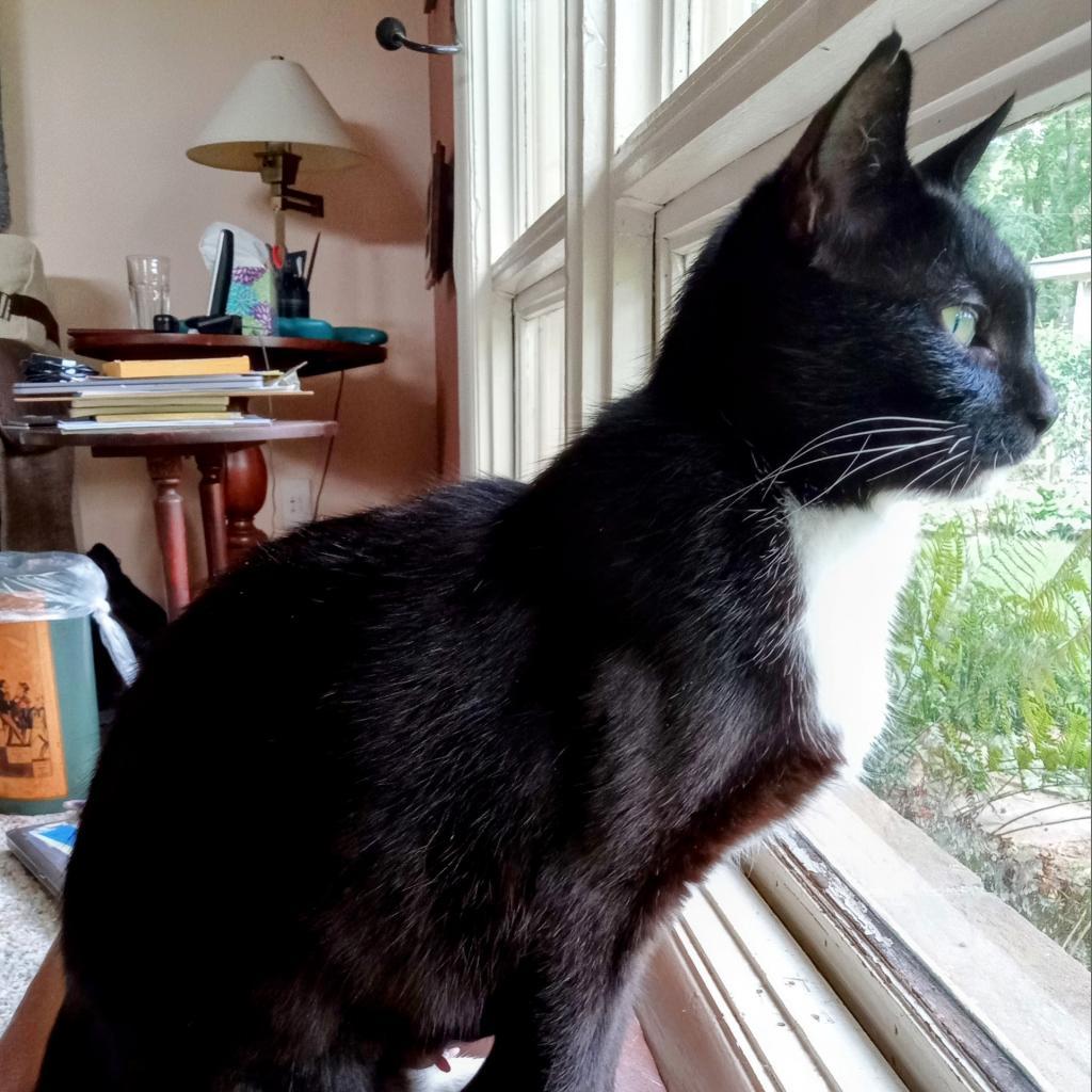 Sophie
