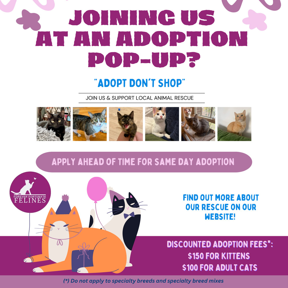 AAA Adoption Event Application
