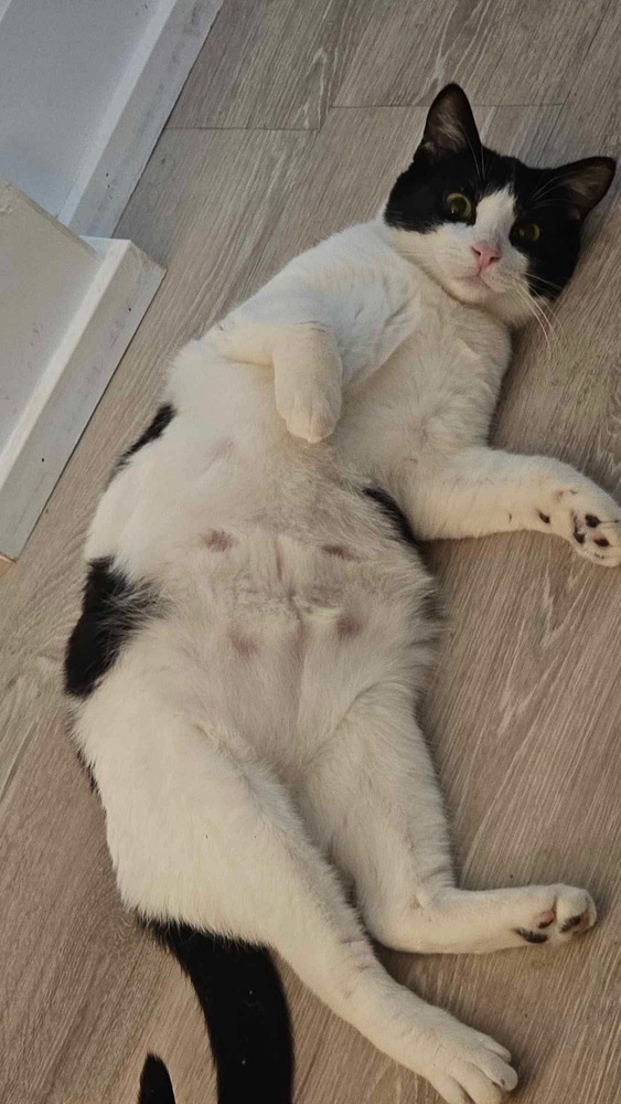 Mia
