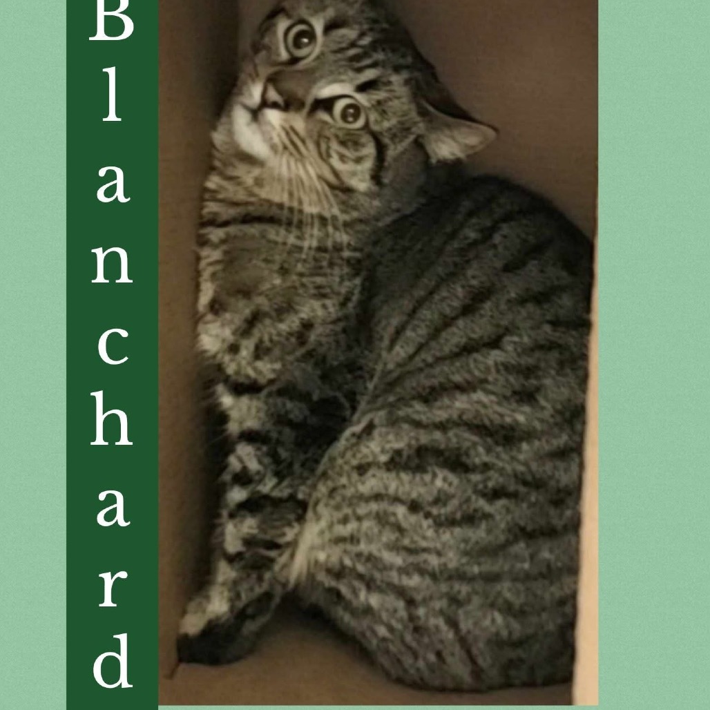 Blanchard