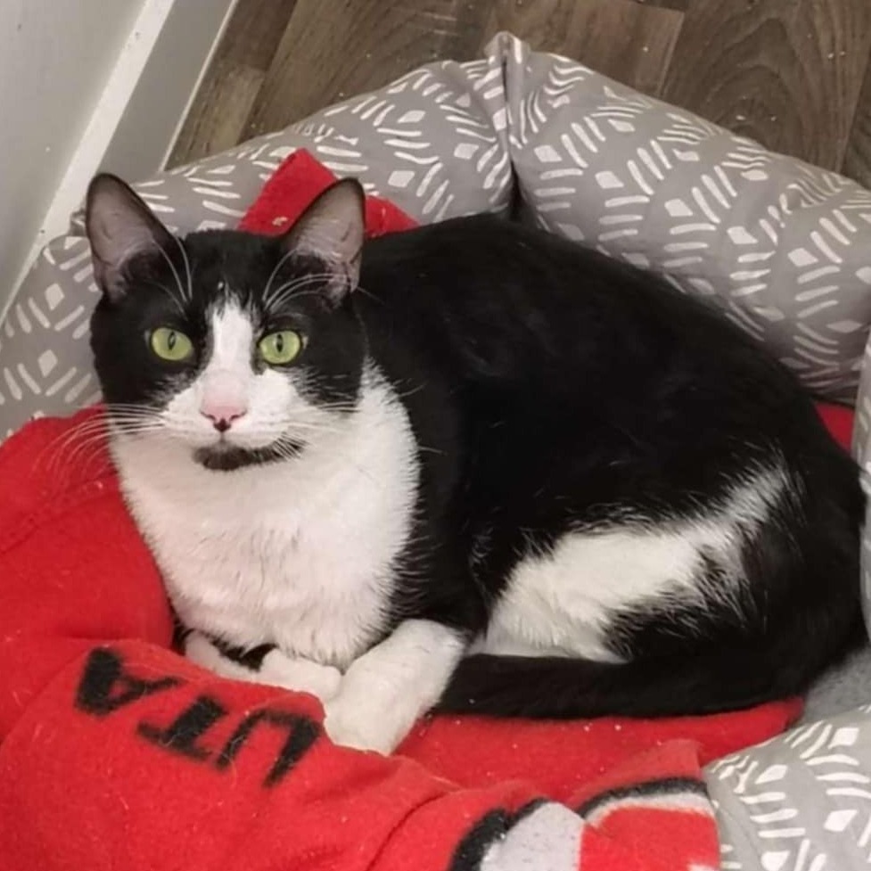 Stanley (Formerly Cappy) Carlson