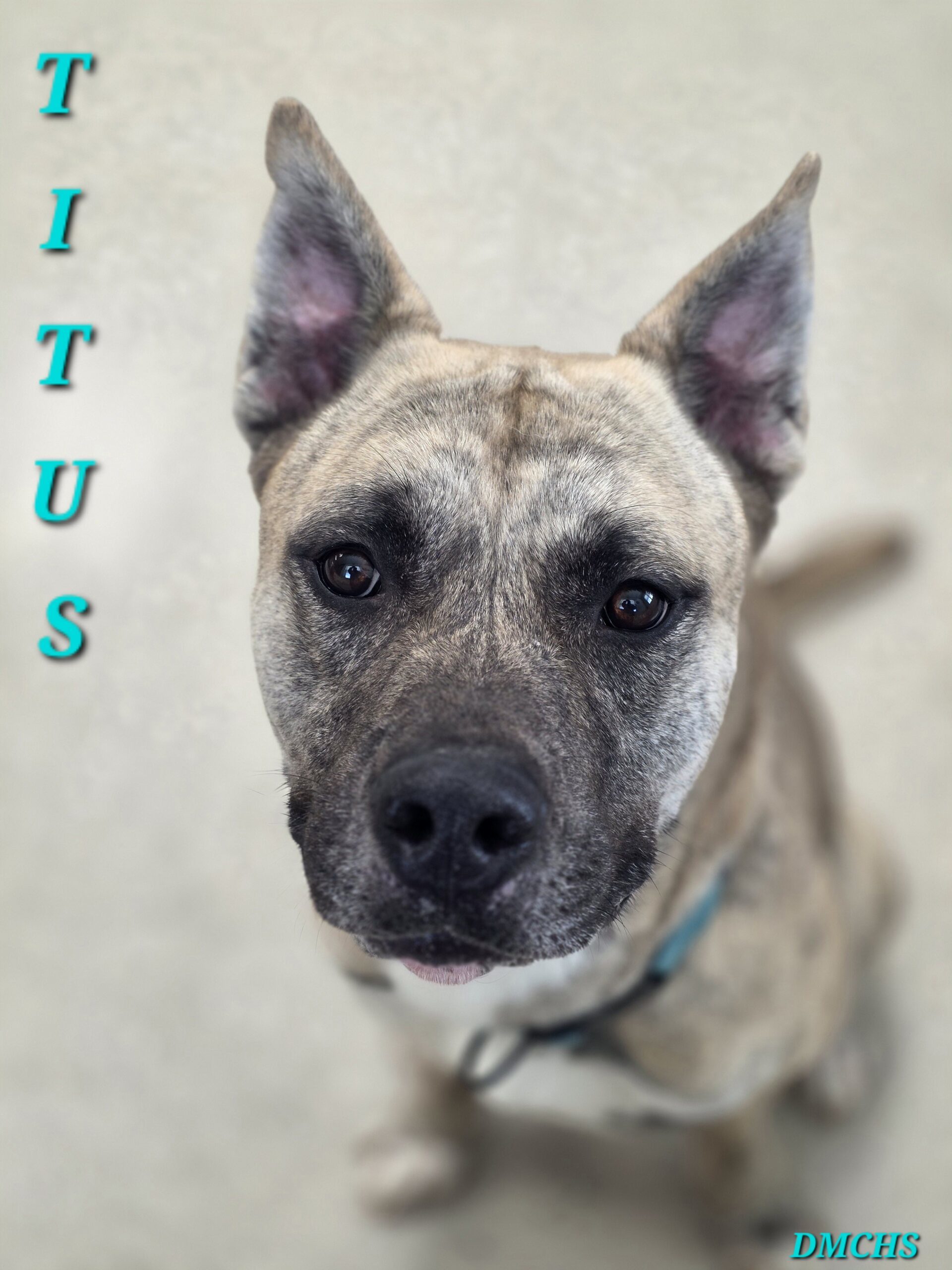 Titus