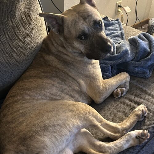 Titus
