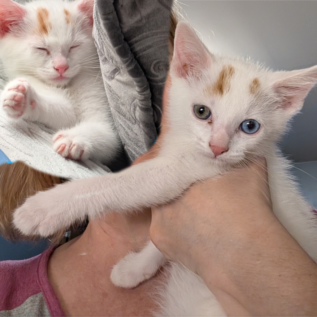 Peanut & Penny