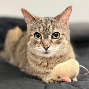 Orchid, Senior Female unknown