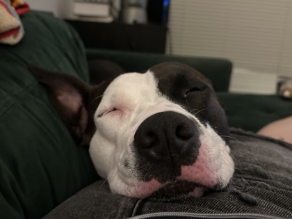 Coco