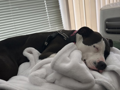 Coco
