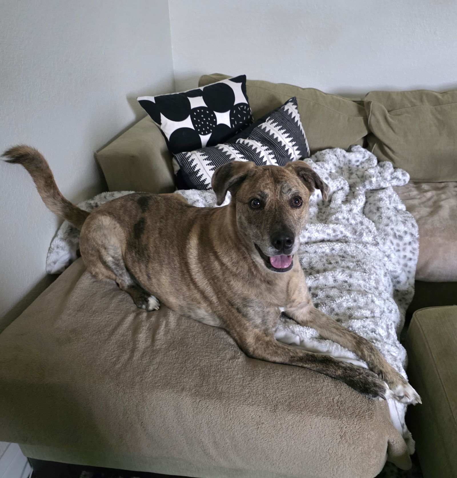 Athena III (New Digs)