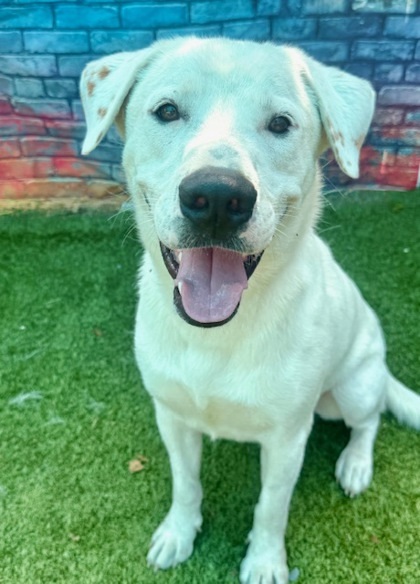 Axel