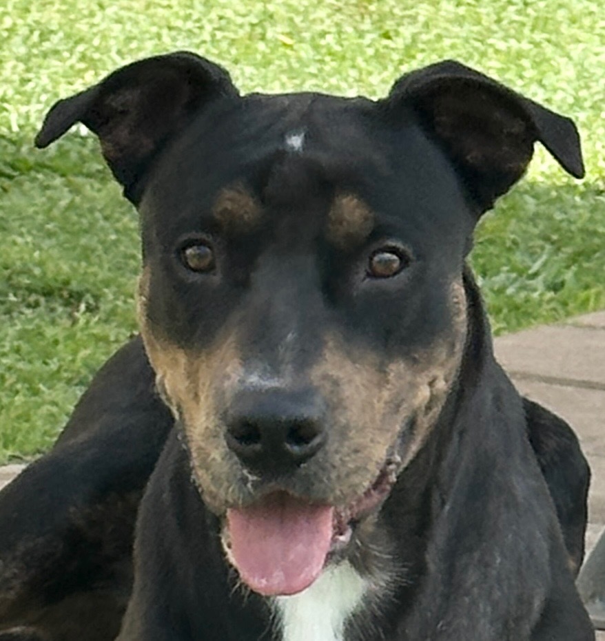 Bubba