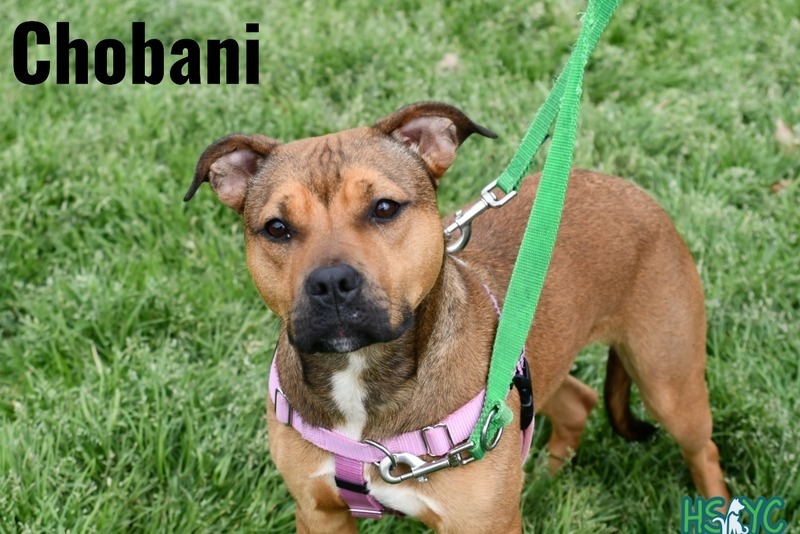 Chobani