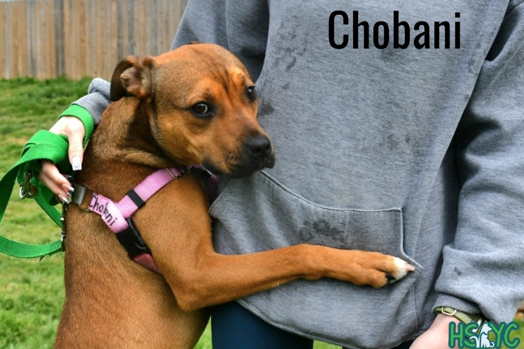 Chobani