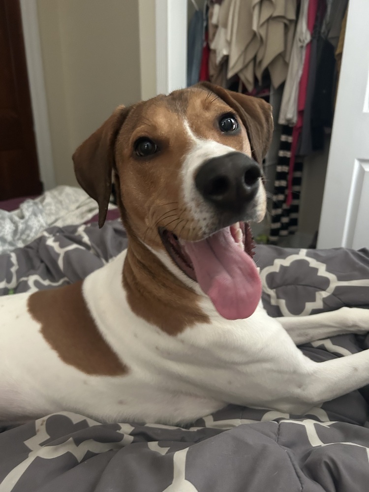 Sadie