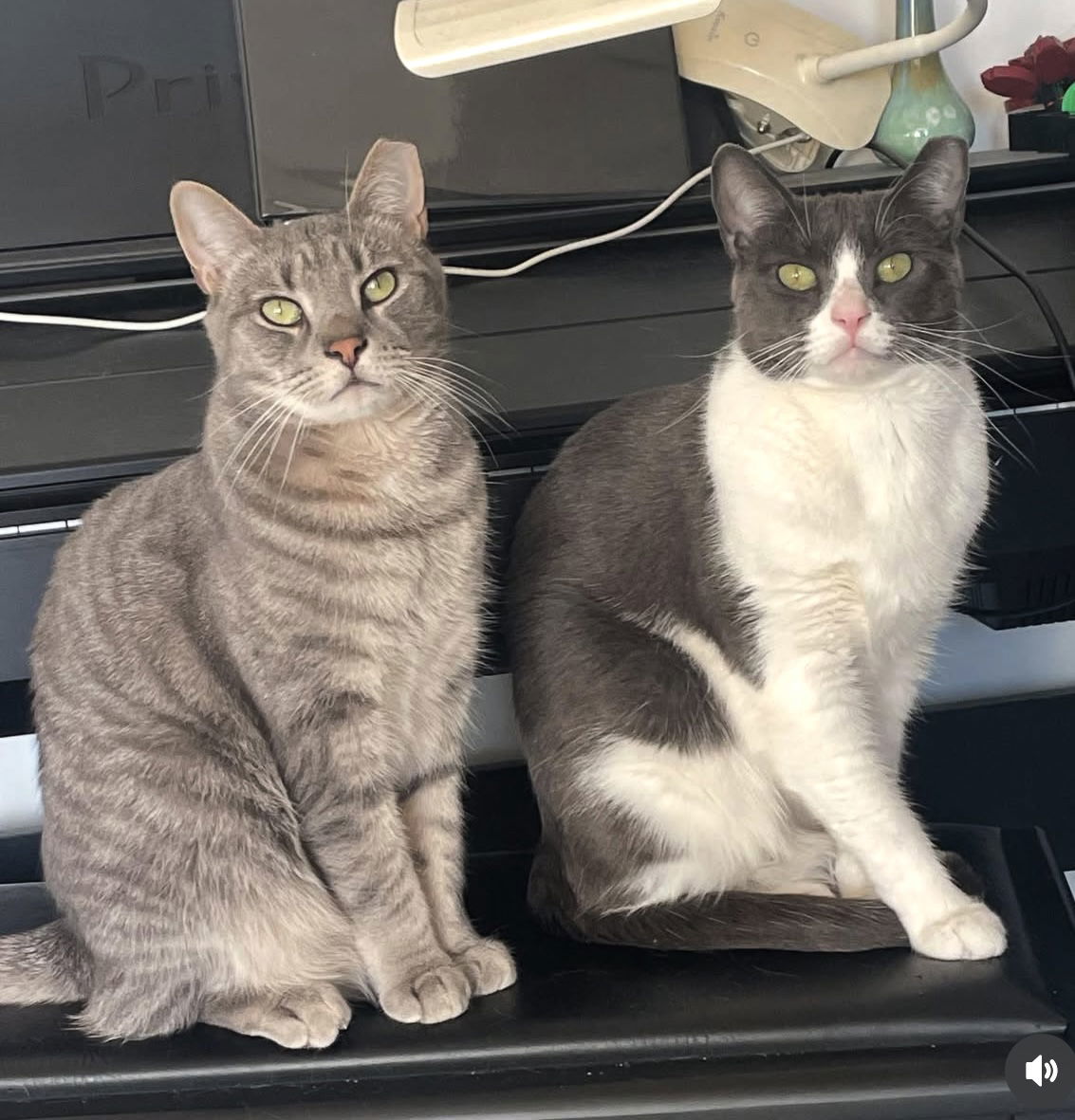 Big Boy and Mr. Man