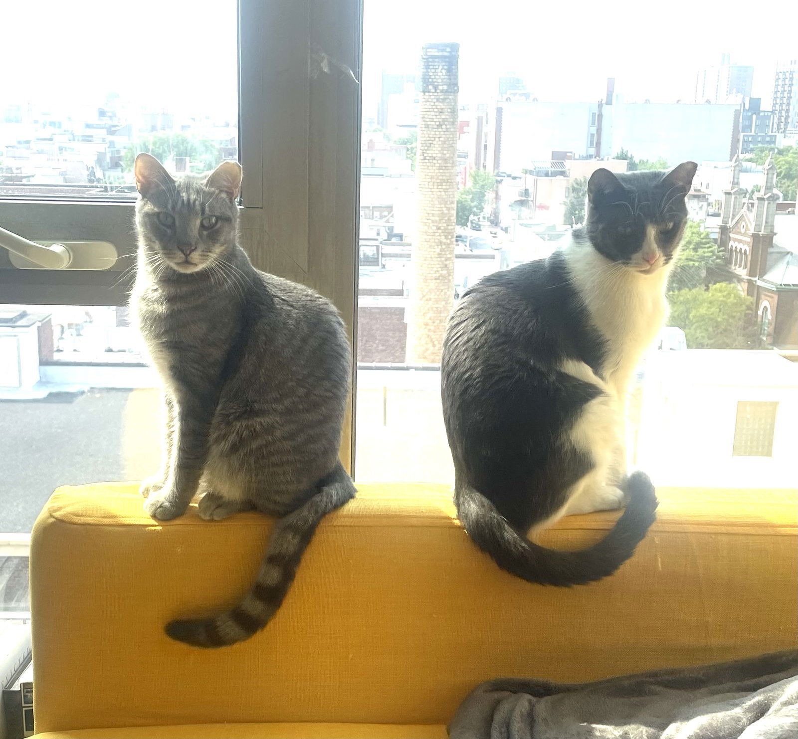 Big Boy and Mr. Man