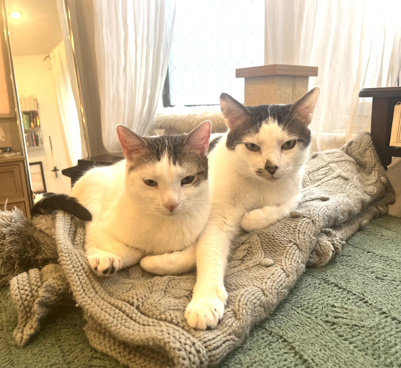 Rusty and Poe