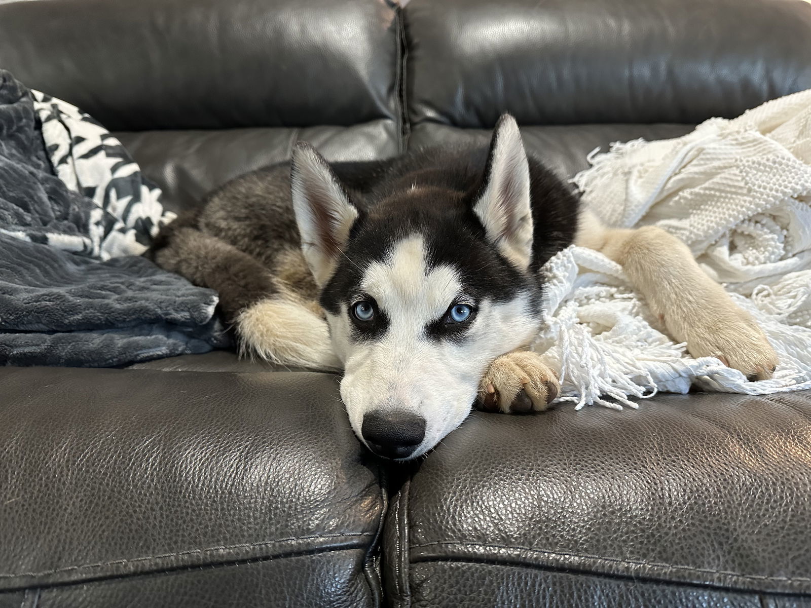 Mia