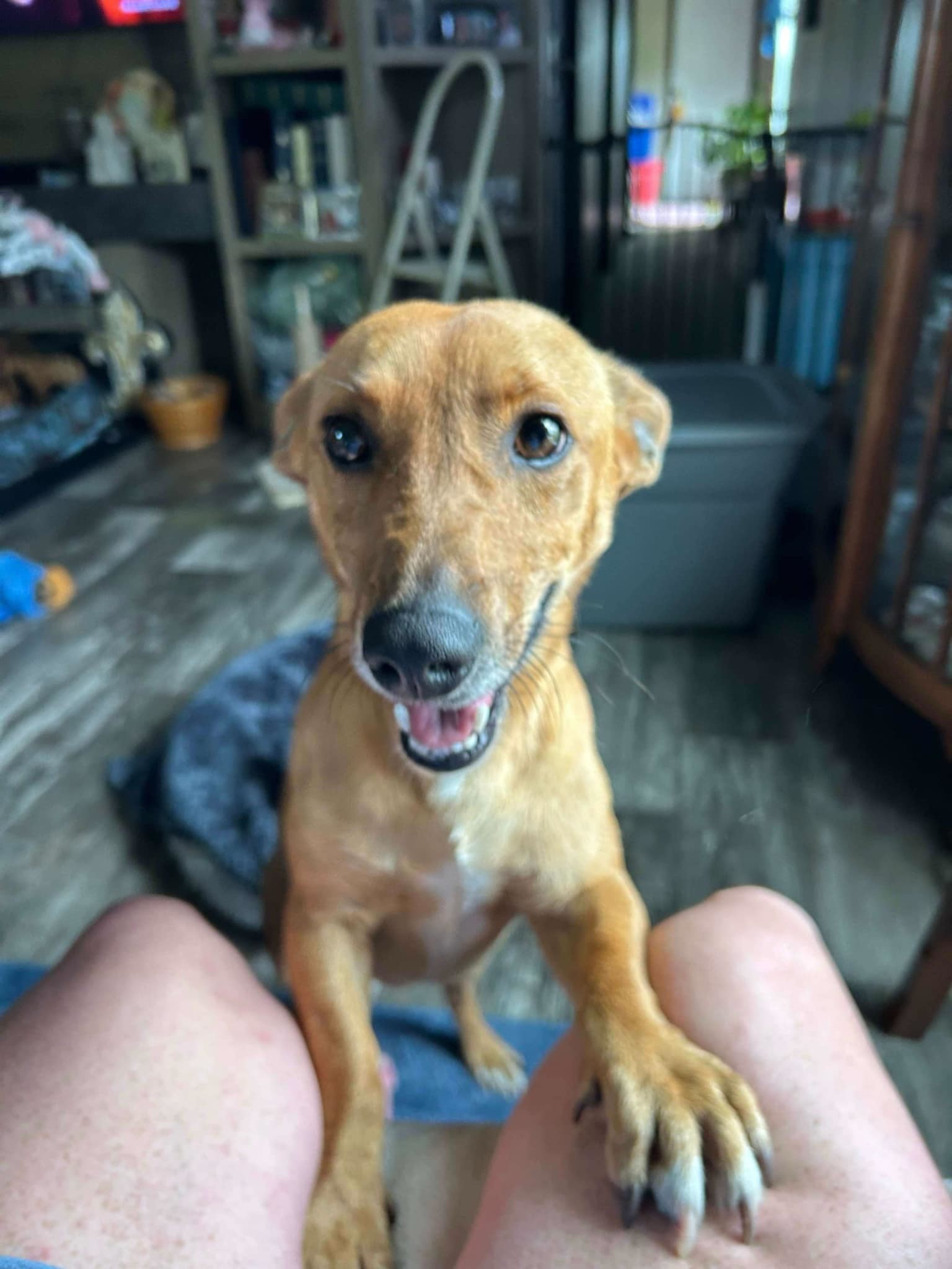 Raffy - Real Nice Boy!