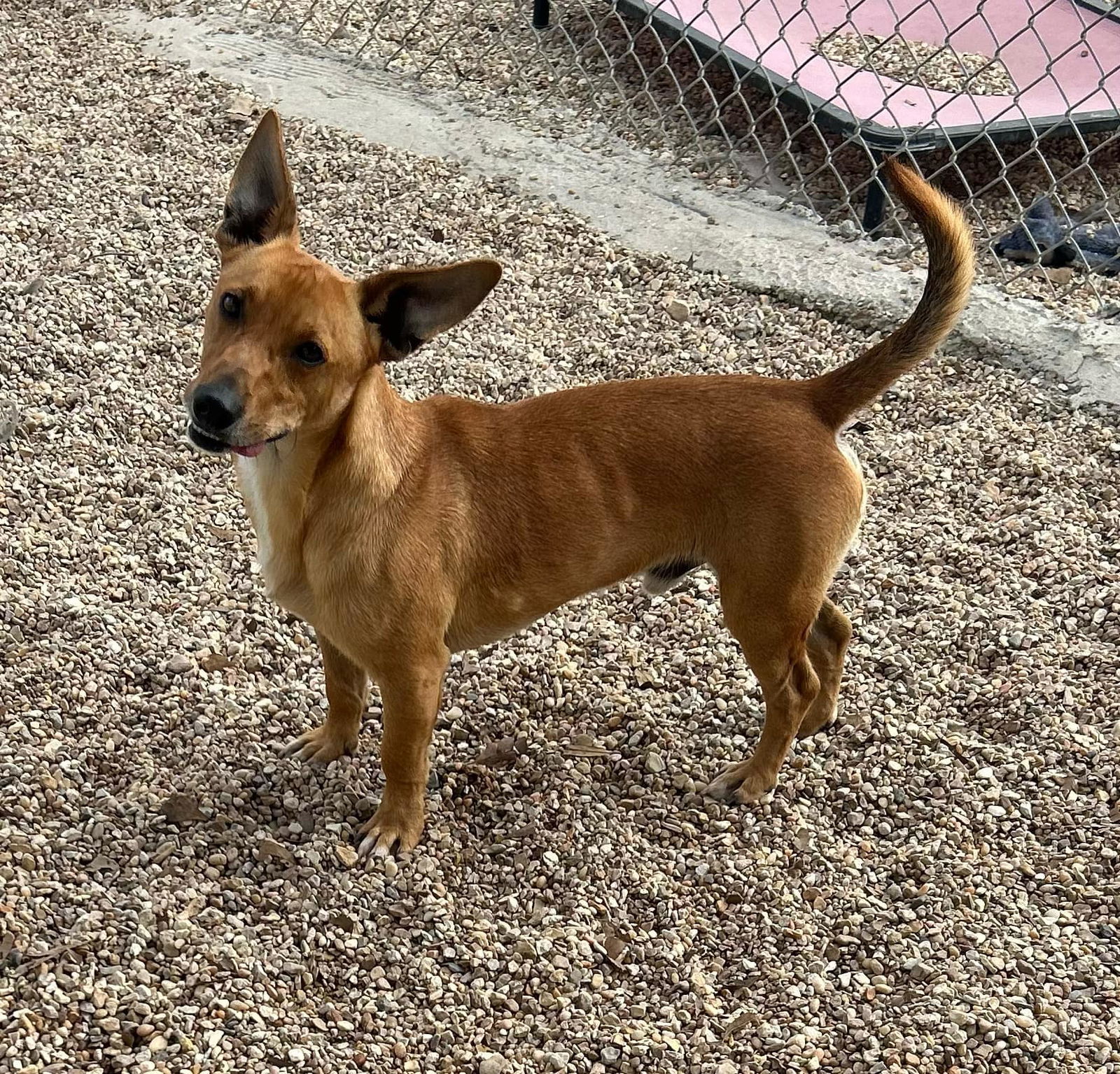 Raffy - Real Nice Boy!