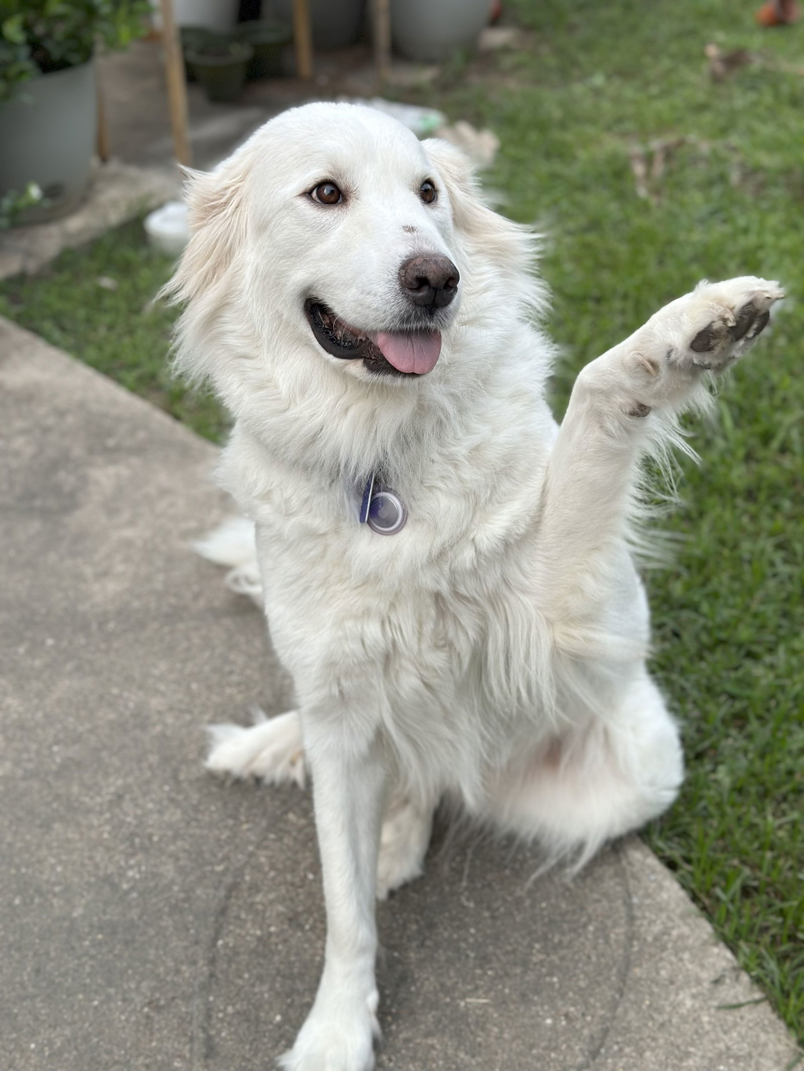 Fiona