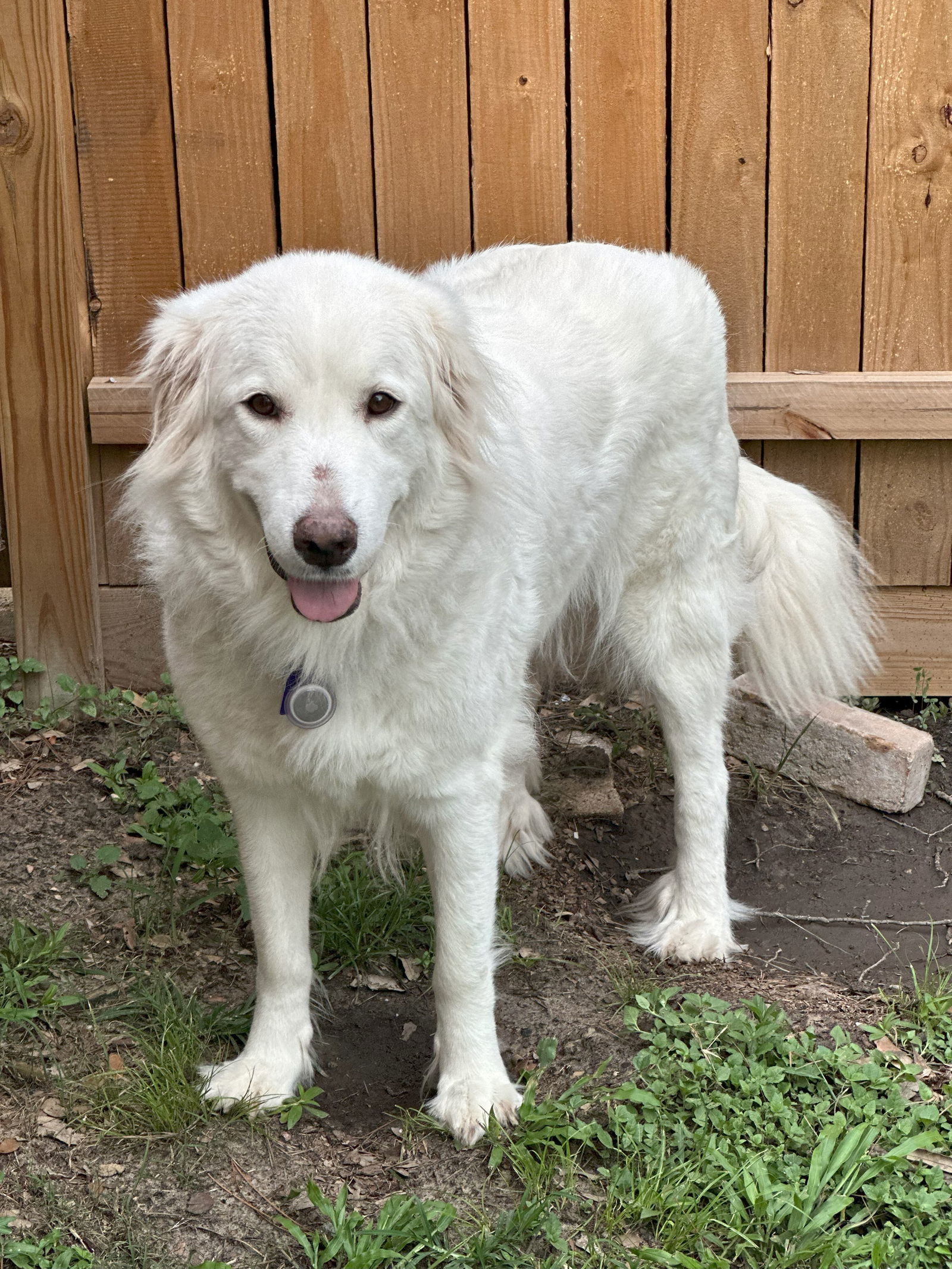 Fiona