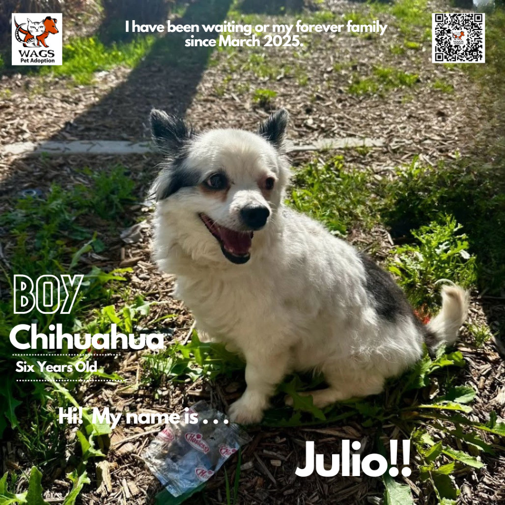 Julio