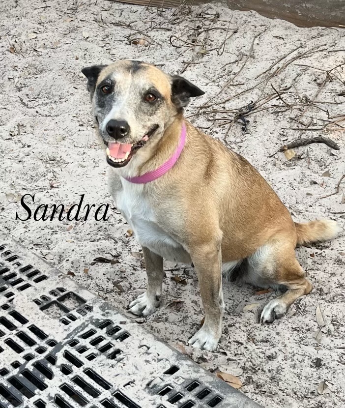 Sandra