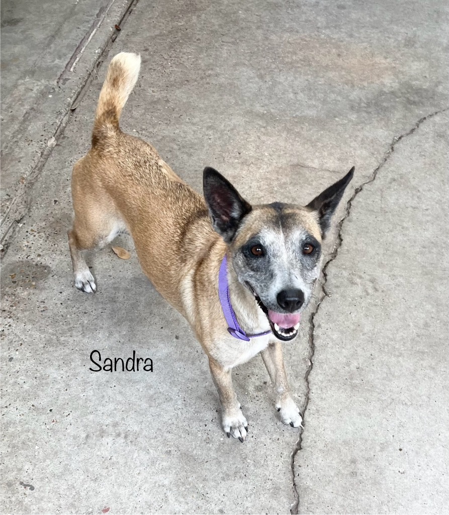 Sandra