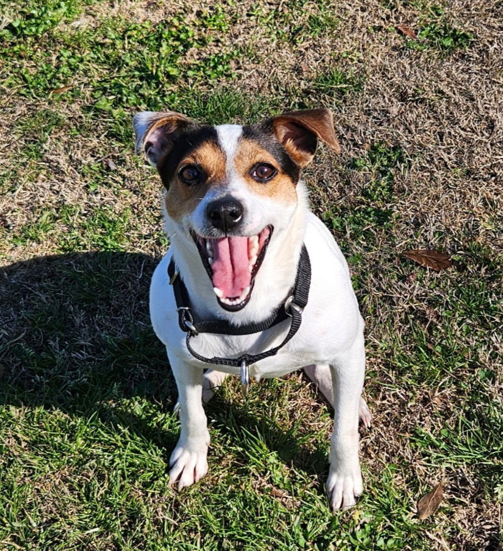 Gigi - Gorgeous Girl!
