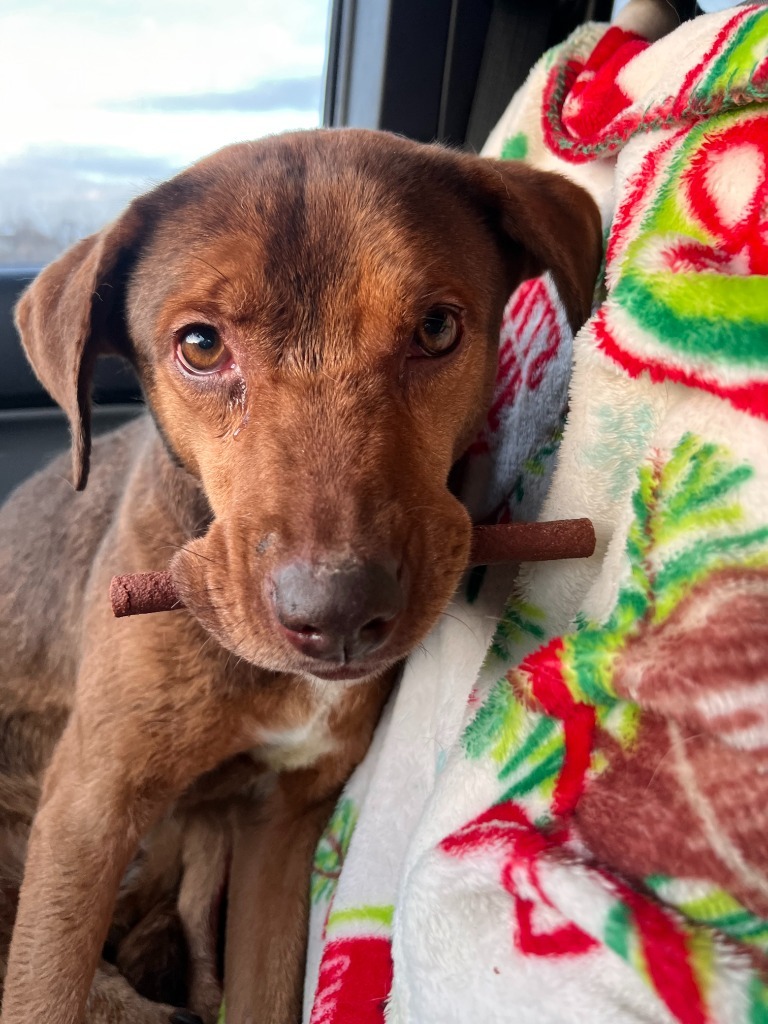 Junie AKA "Stella