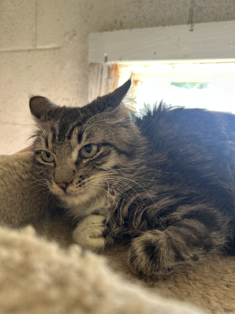 Frankie