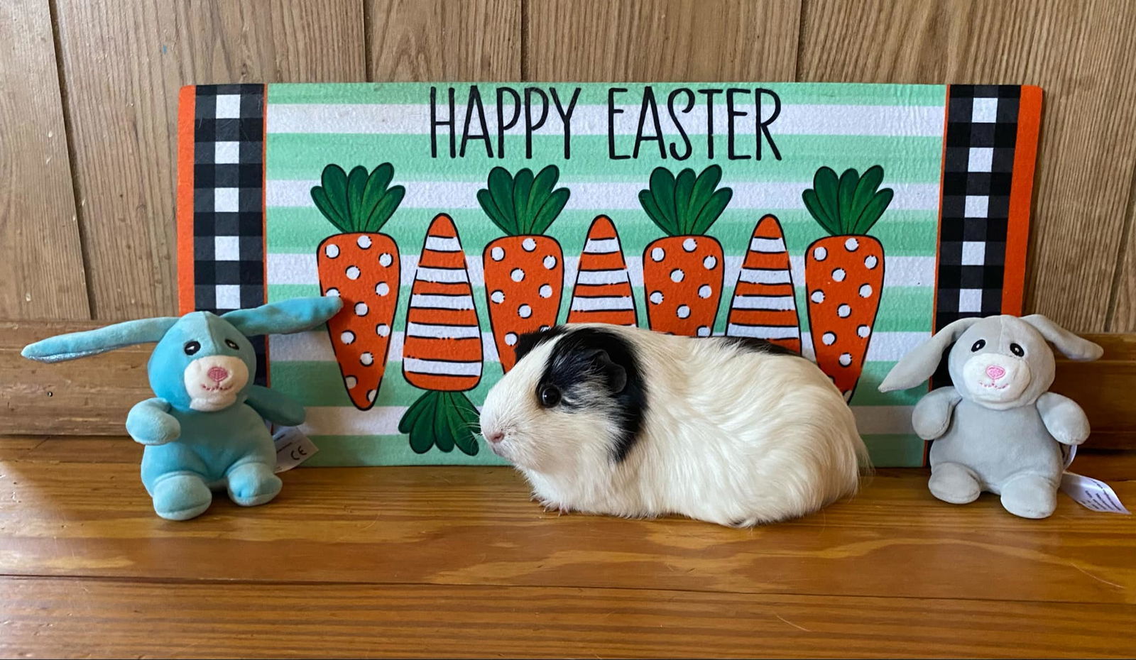Moose **bonded with Fluffy**