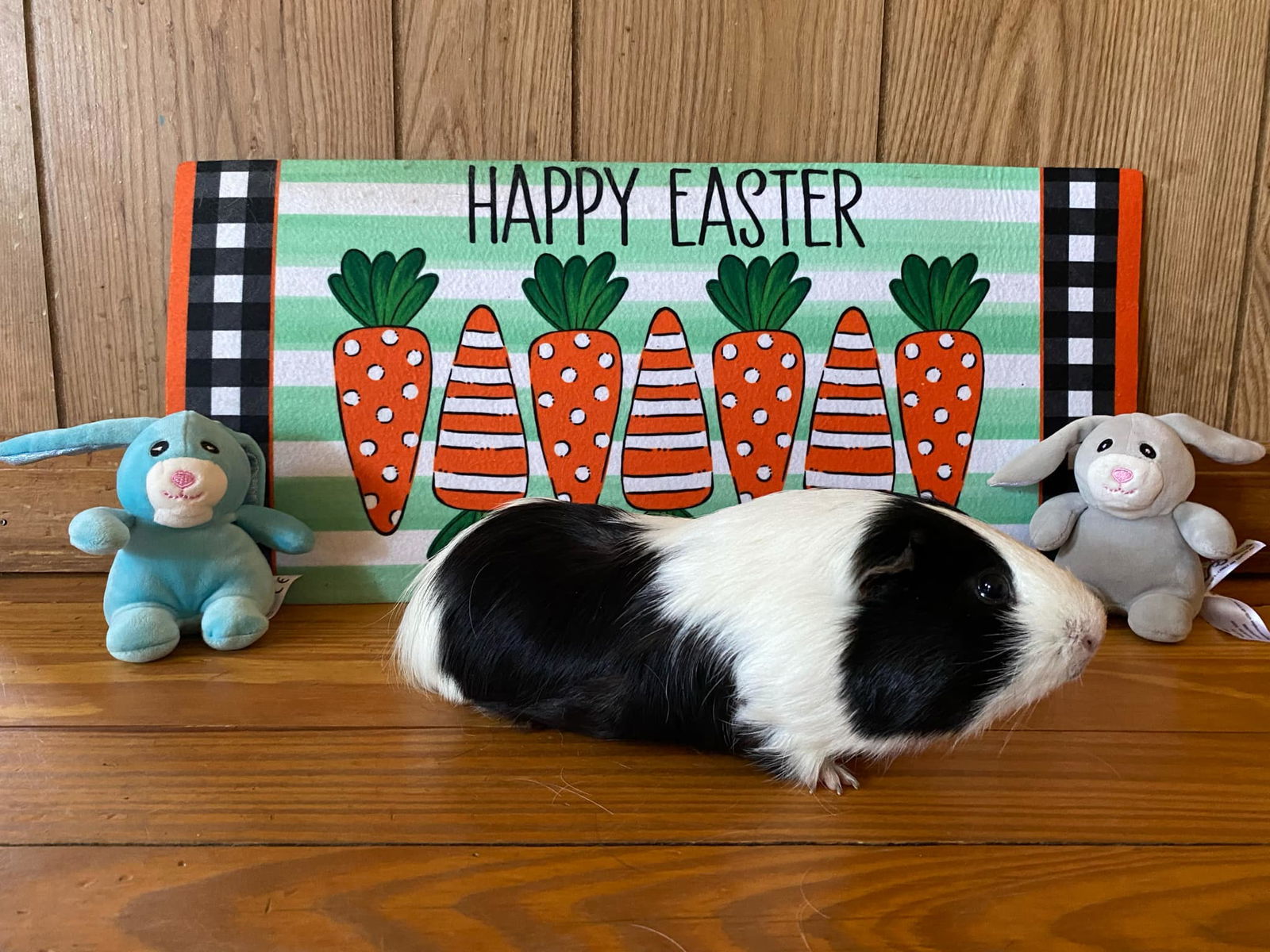 Moose **bonded with Fluffy**