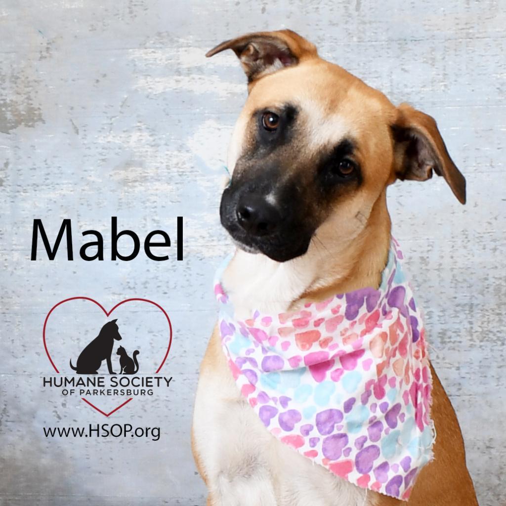 Hazel (Mabel)