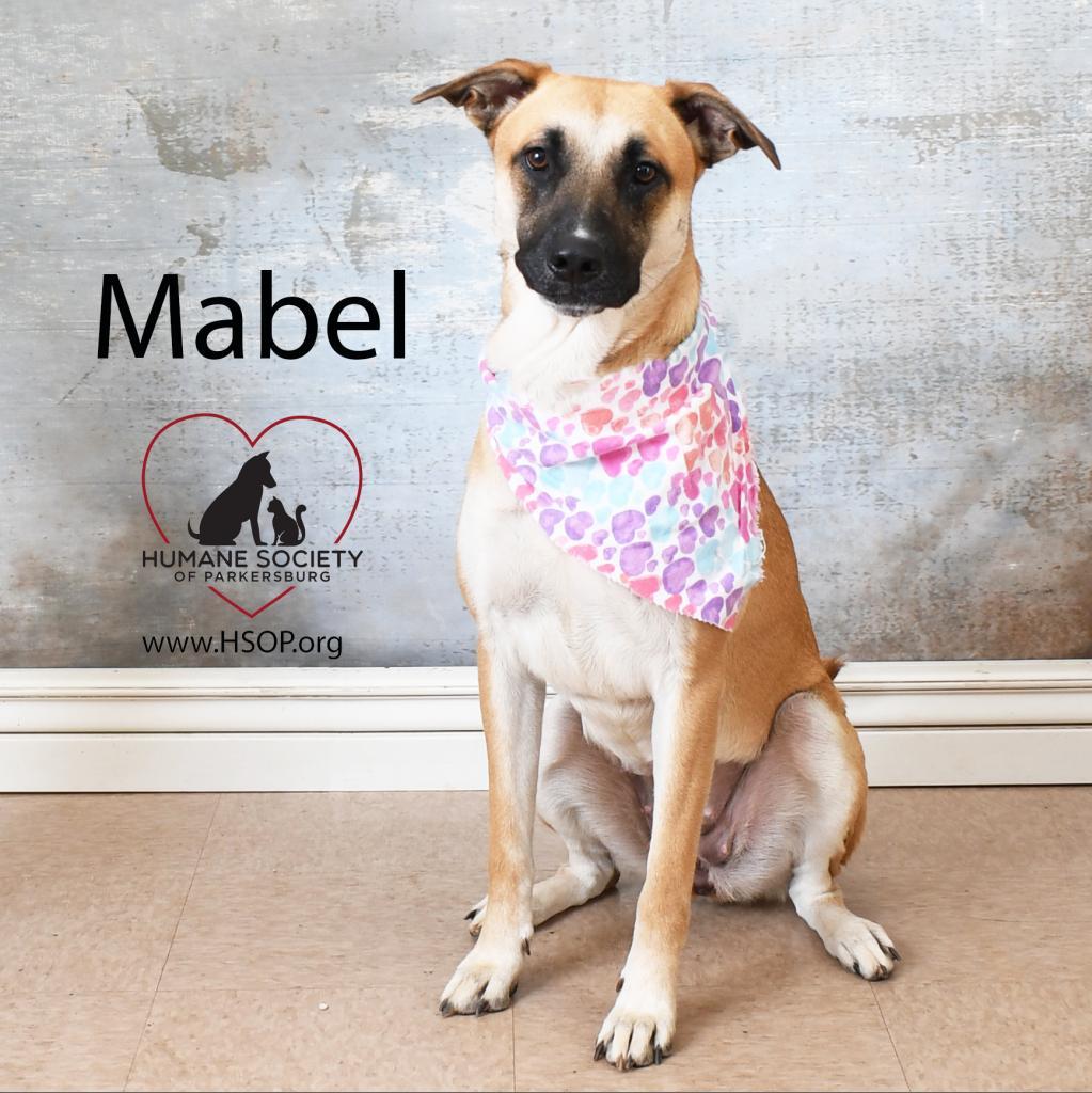 Hazel (Mabel)