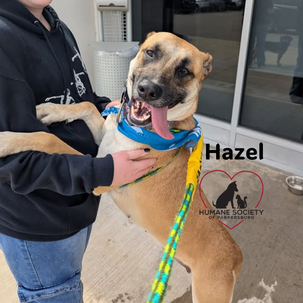 Hazel (Mabel)