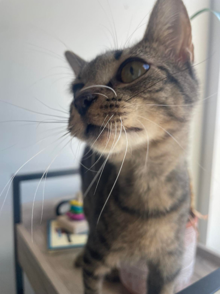 Roxanne