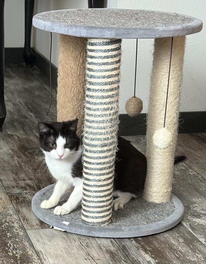 Avery & EJ (Bonded Pair)