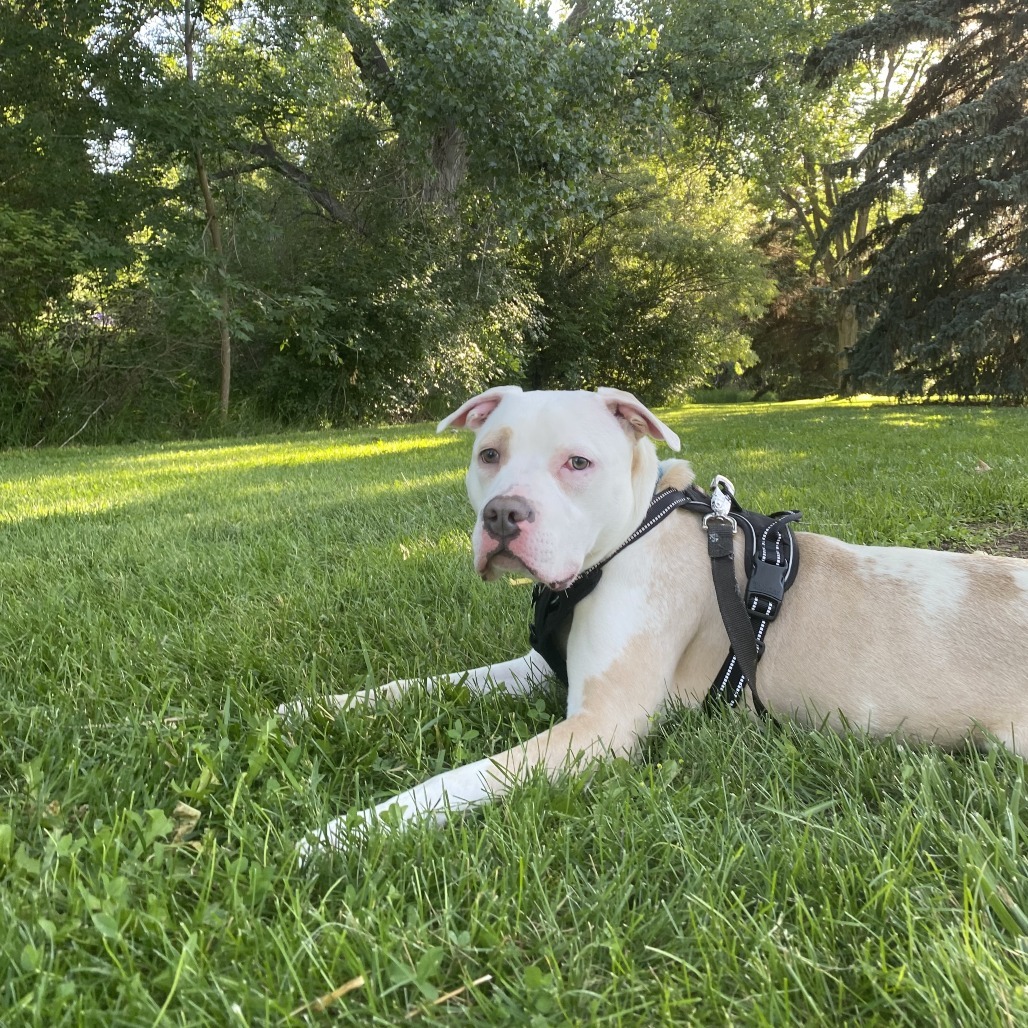 Roscoe