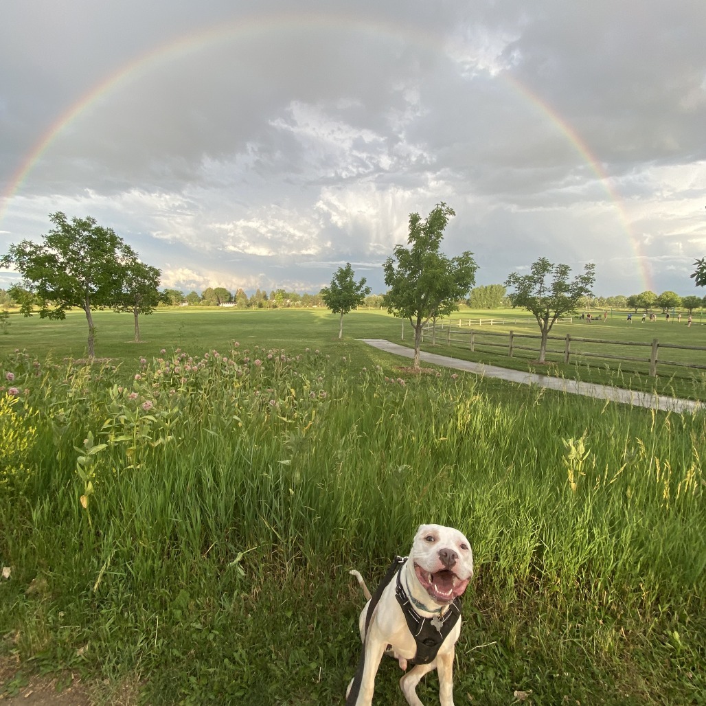 Roscoe