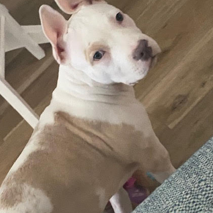 Roscoe