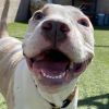 Roscoe photo 6