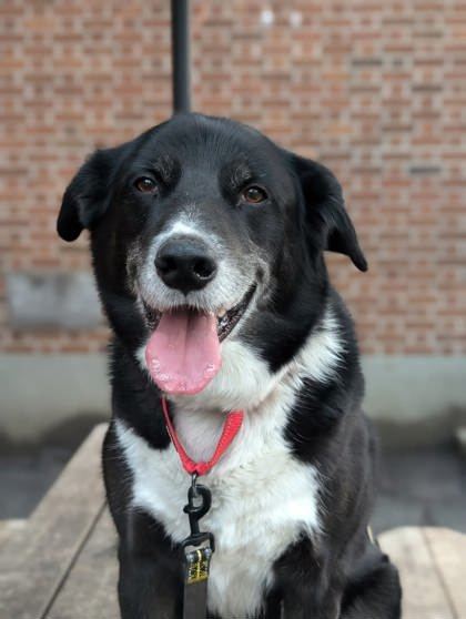 Kiko
