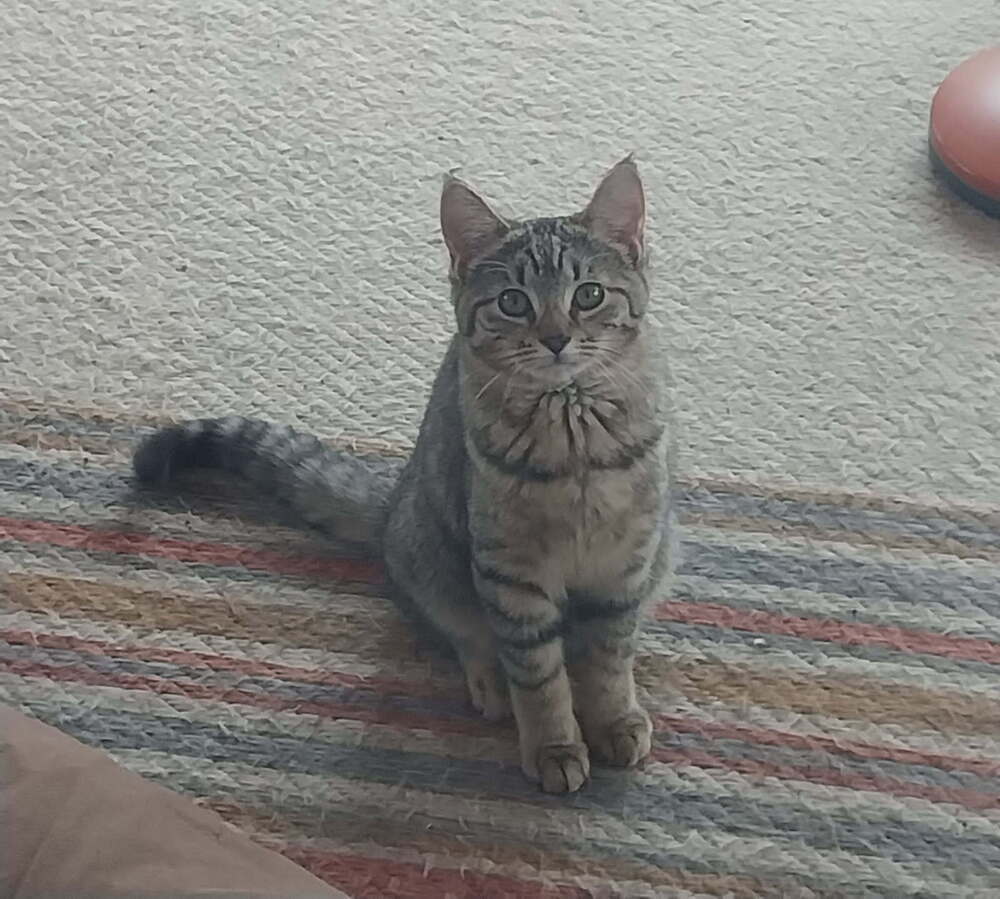 Winnie