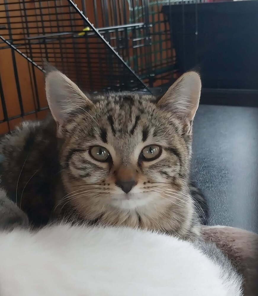 Winnie