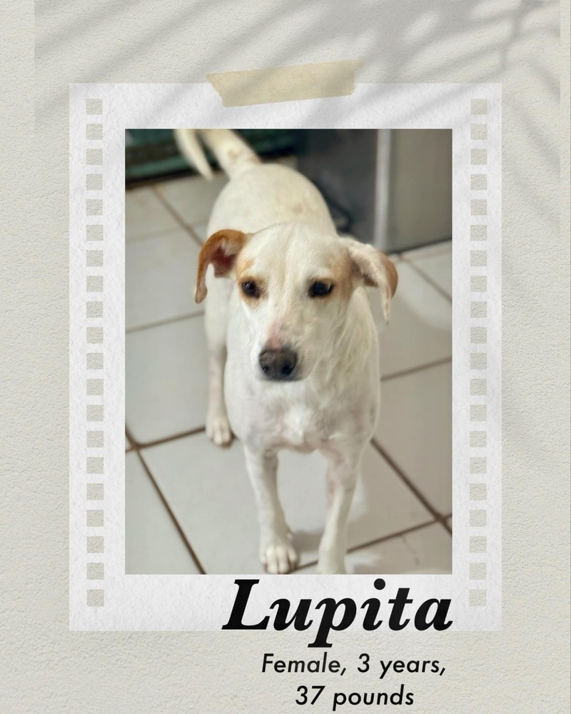 Lupita