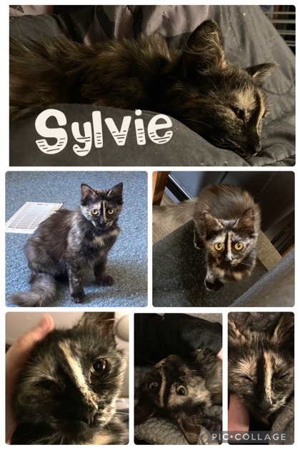 Sylvie