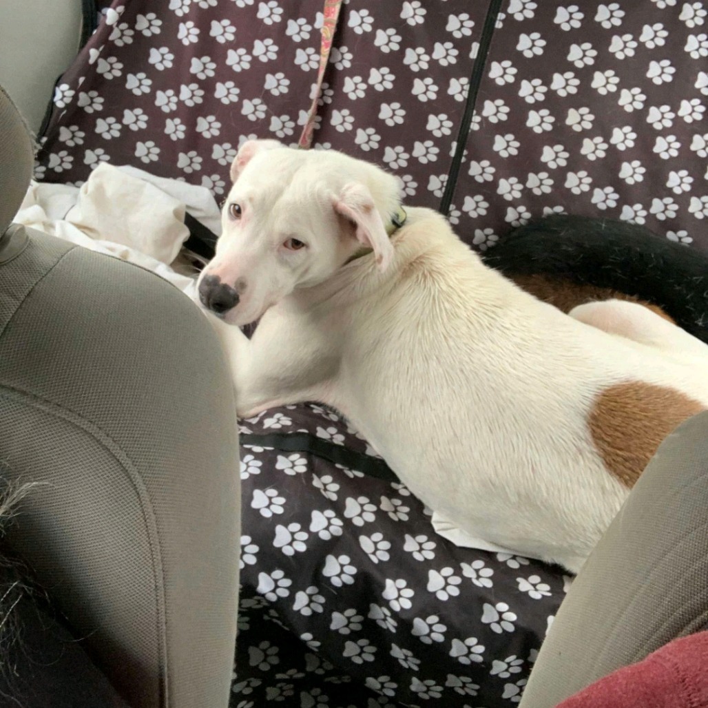 Della