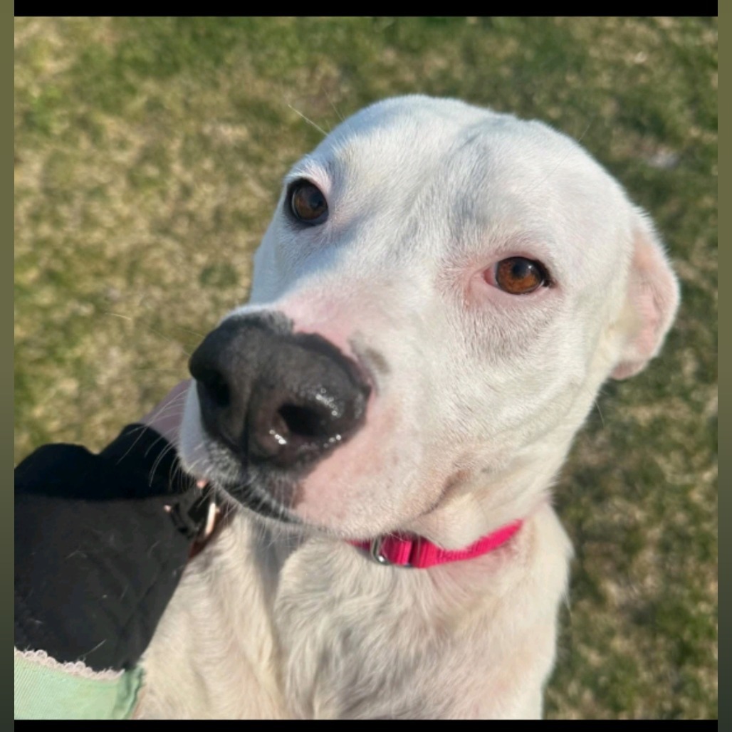 Della