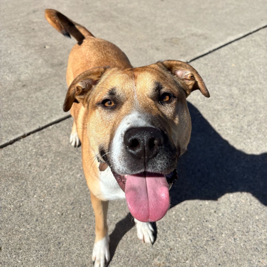 Watson--In Foster